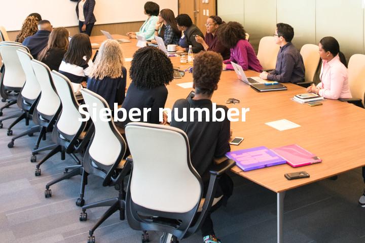 Sieber number单词图解，单词释义场景配图
