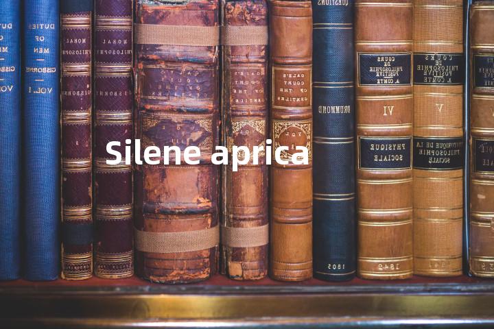 Silene aprica单词图解，单词释义场景配图
