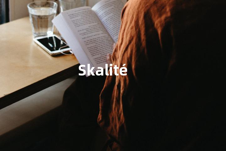 Skalité单词图解，单词释义场景配图