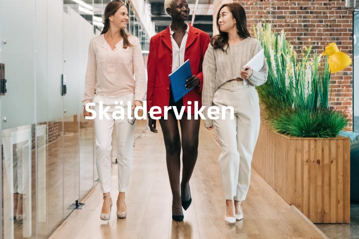Skälderviken单词图解，单词释义场景配图