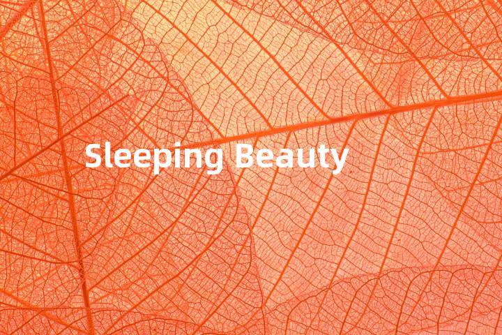 Sleeping Beauty单词图解，单词释义场景配图