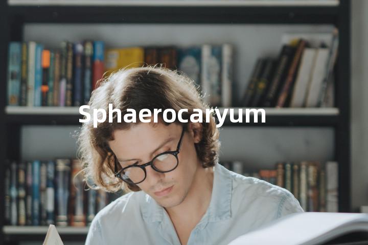 Sphaerocaryum单词图解，单词释义场景配图