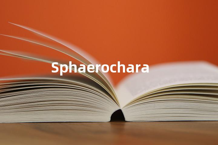 Sphaerochara单词图解，单词释义场景配图