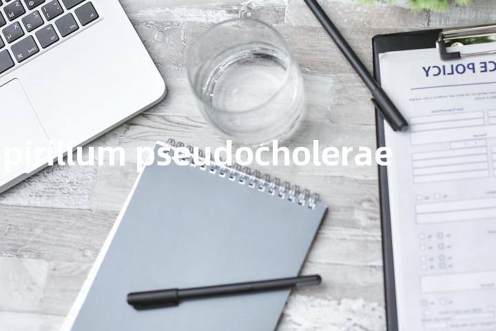 Spirillum pseudocholerae单词图解，单词释义场景配图