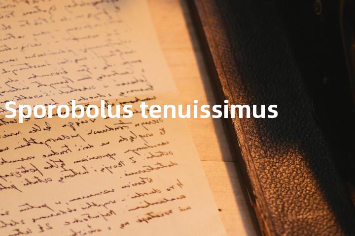Sporobolus tenuissimus单词图解，单词释义场景配图
