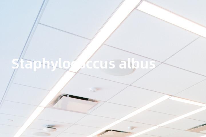 Staphylococcus albus单词图解，单词释义场景配图
