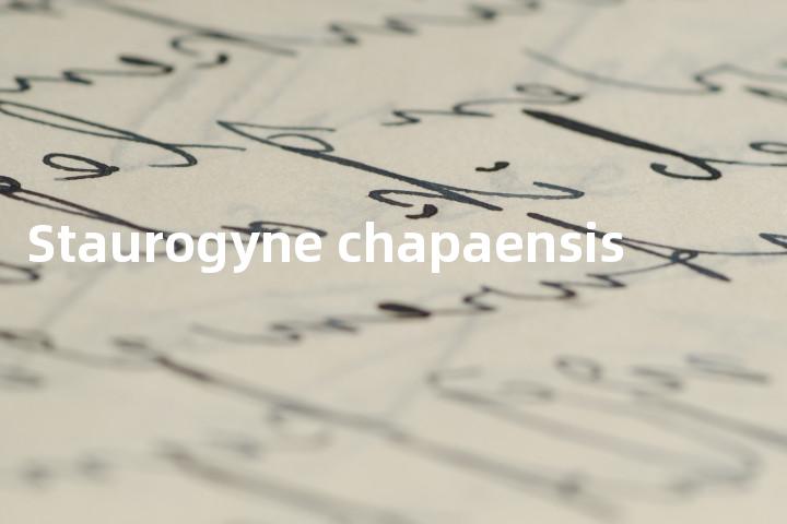 Staurogyne chapaensis单词图解，单词释义场景配图