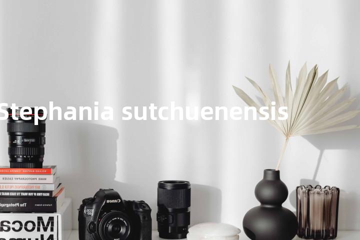 Stephania sutchuenensis单词图解，单词释义场景配图