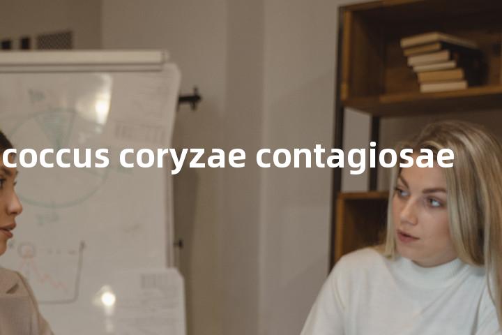 Streptococcus coryzae contagiosae单词图解，单词释义场景配图
