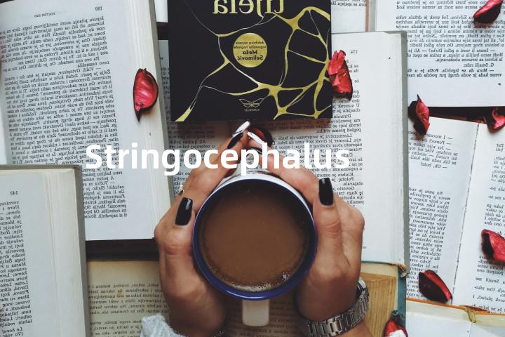 Stringocephalus单词图解，单词释义场景配图