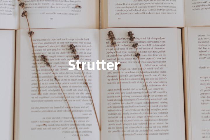 Strutter