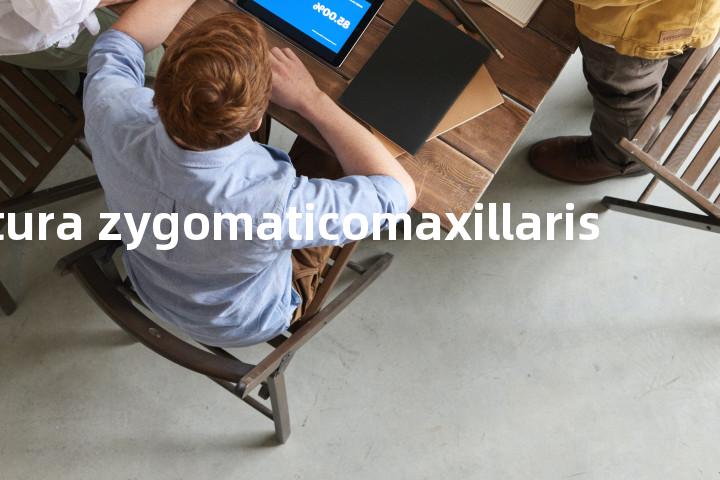 Sutura zygomaticomaxillaris单词图解，单词释义场景配图