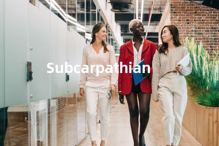 Subcarpathian单词图解，单词释义场景配图