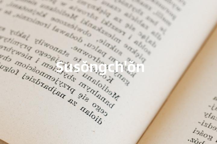 Susǒngch'ǒn单词图解，单词释义场景配图