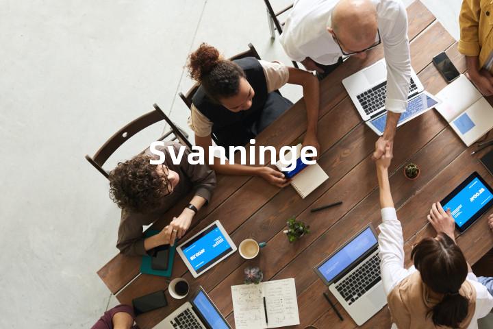 Svanninge单词图解，单词释义场景配图