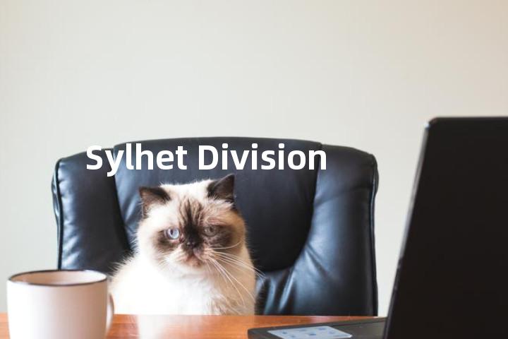 Sylhet Division单词图解，单词释义场景配图