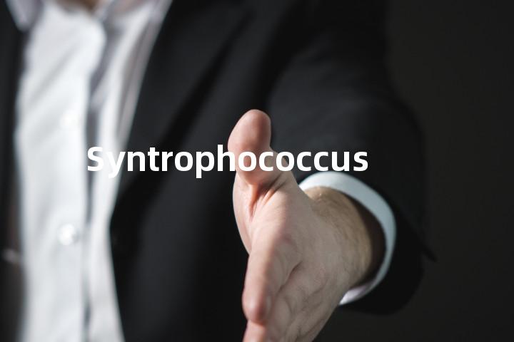 Syntrophococcus单词图解，单词释义场景配图
