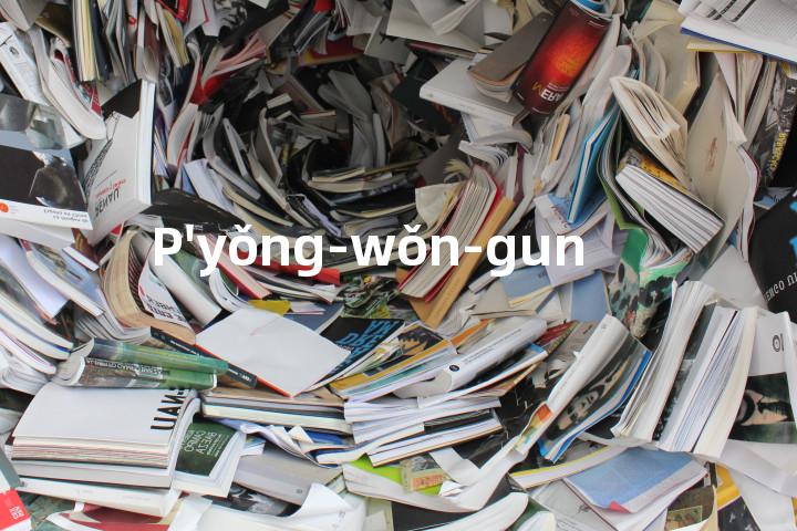 P'yǒng-wǒn-gun单词图解，单词释义场景配图