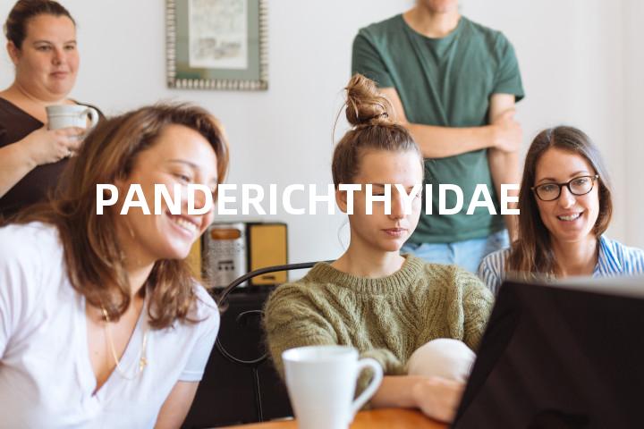 PANDERICHTHYIDAE单词图解，单词释义场景配图