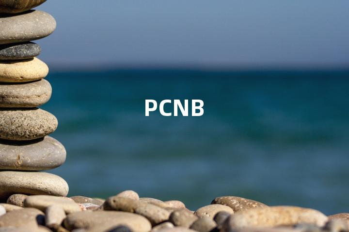 PCNB单词图解，单词释义场景配图