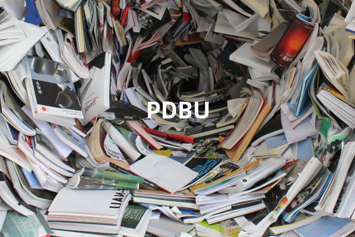 PDBU单词图解，单词释义场景配图