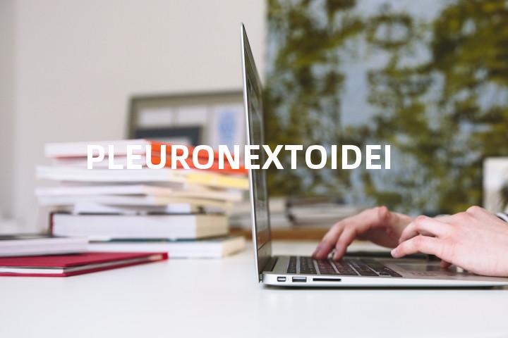 PLEURONEXTOIDEI单词图解，单词释义场景配图