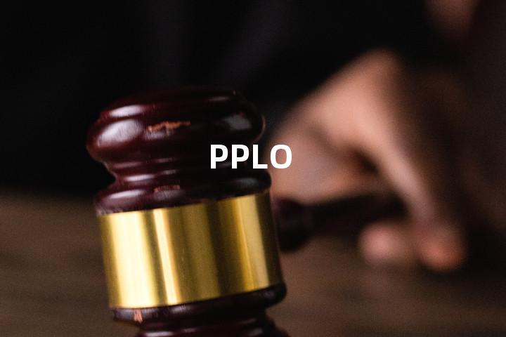 PPLO单词图解，单词释义场景配图