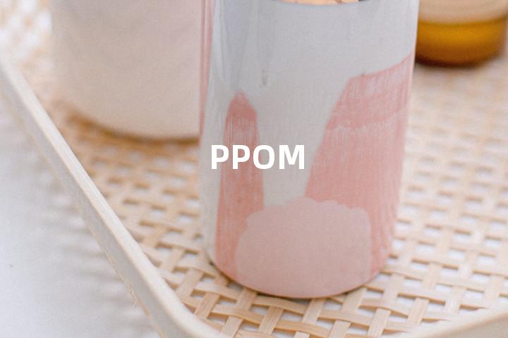 PPOM单词图解，单词释义场景配图