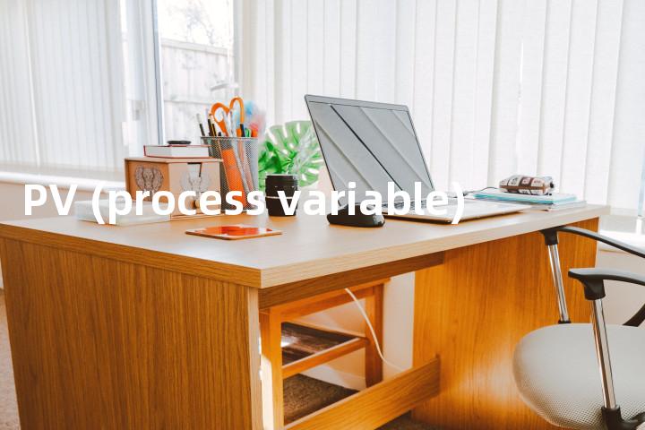 PV (process variable)单词图解，单词释义场景配图