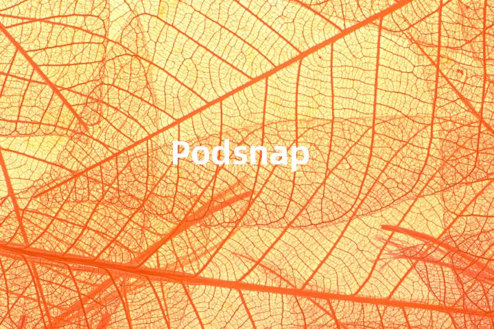 Podsnap单词图解，单词释义场景配图