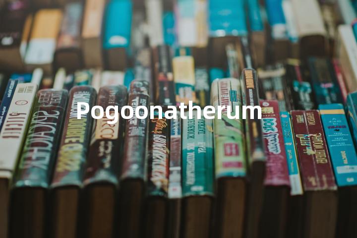Pogoonatherum单词图解，单词释义场景配图
