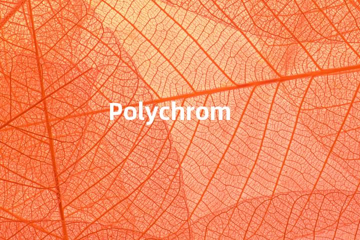 Polychrom单词图解，单词释义场景配图