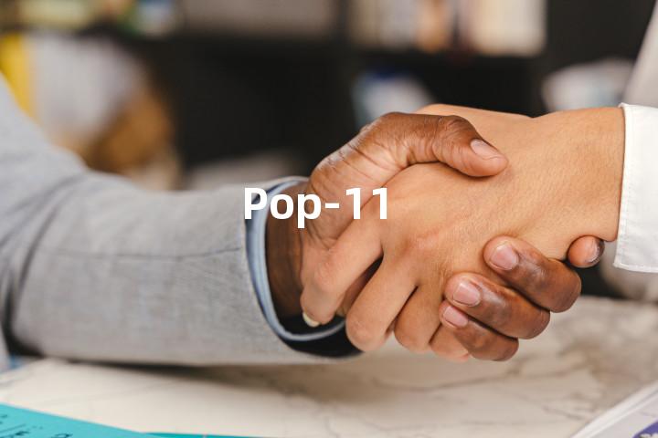 Pop-11单词图解，单词释义场景配图