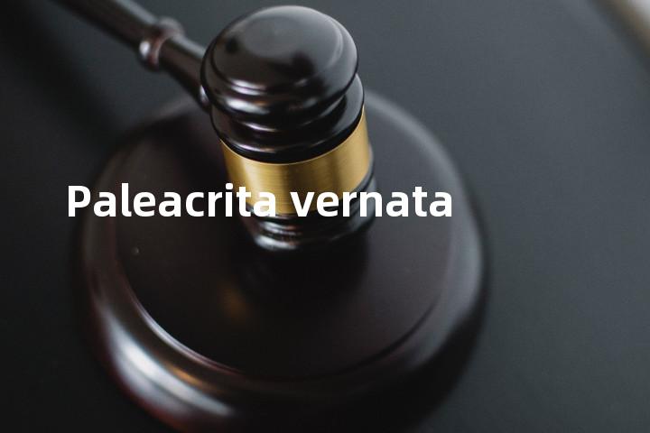 Paleacrita vernata单词图解，单词释义场景配图