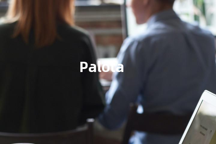 Palota单词图解，单词释义场景配图