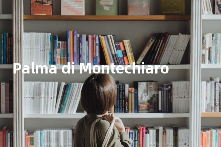 Palma di Montechiaro单词图解，单词释义场景配图