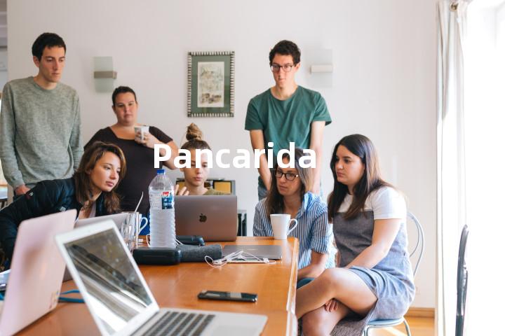Pancarida单词图解，单词释义场景配图