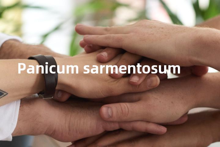 Panicum sarmentosum单词图解，单词释义场景配图