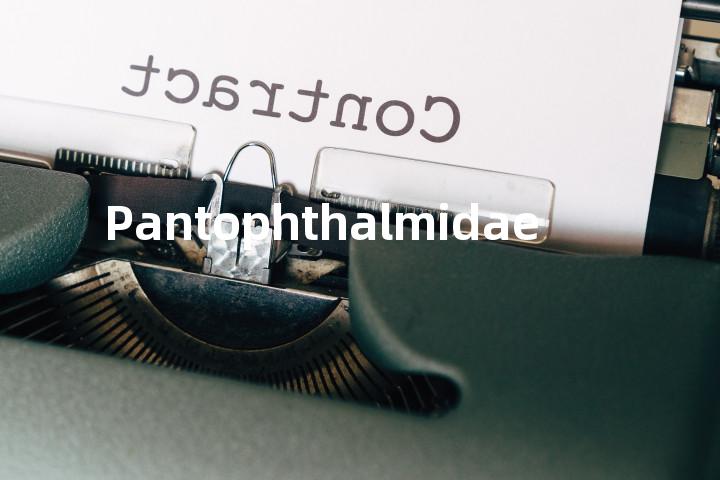 Pantophthalmidae单词图解，单词释义场景配图
