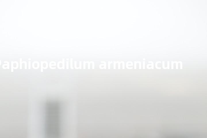 Paphiopedilum armeniacum单词图解，单词释义场景配图