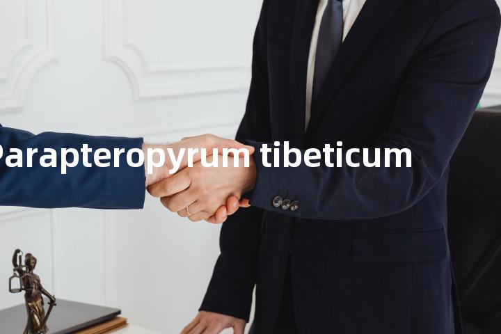 Parapteropyrum tibeticum单词图解，单词释义场景配图