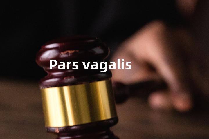 Pars vagalis单词图解，单词释义场景配图