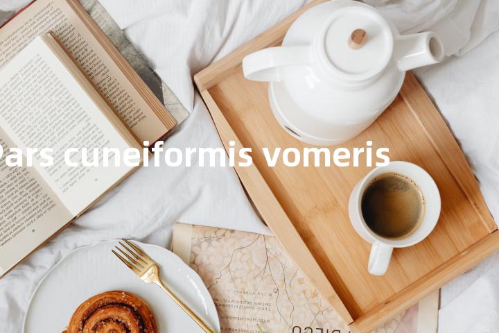 Pars cuneiformis vomeris单词图解，单词释义场景配图