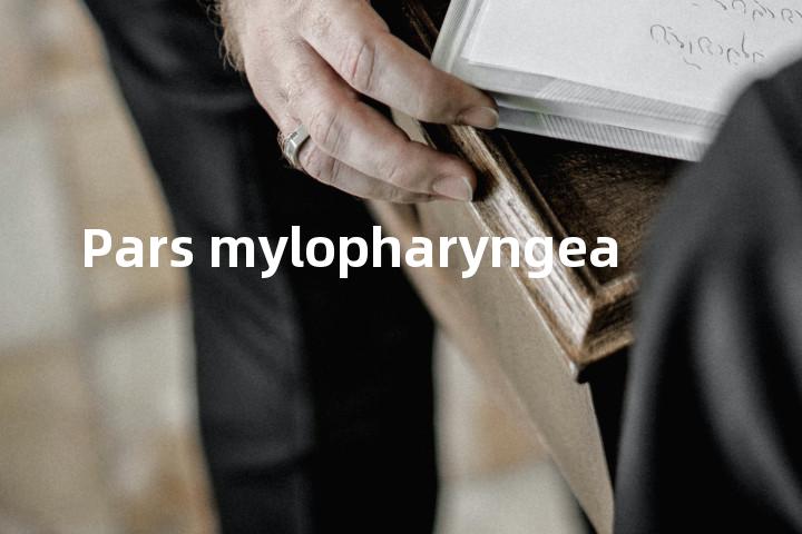 Pars mylopharyngea单词图解，单词释义场景配图