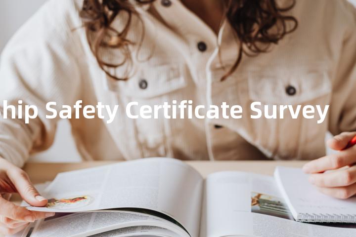 Passenger Ship Safety Certificate Survey单词图解，单词释义场景配图
