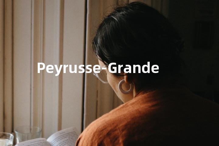 Peyrusse-Grande单词图解，单词释义场景配图