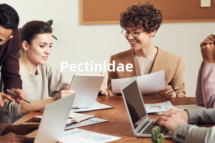 Pectinidae单词图解，单词释义场景配图