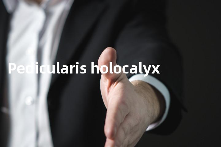 Pedicularis holocalyx单词图解，单词释义场景配图