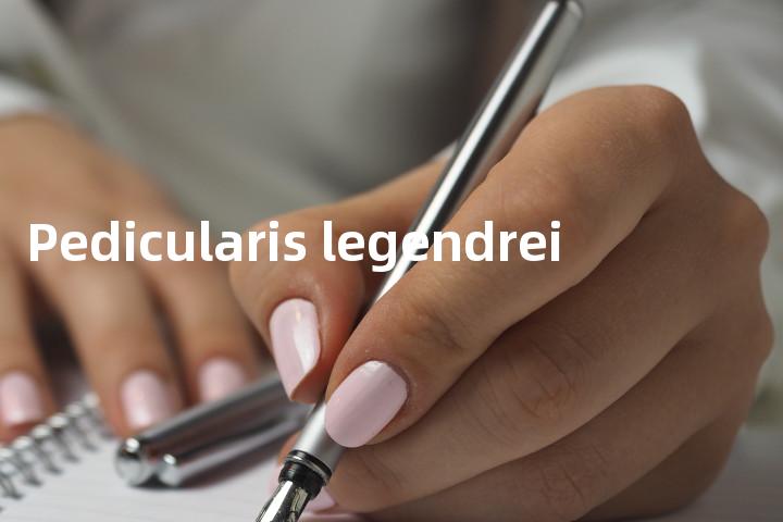 Pedicularis legendrei单词图解，单词释义场景配图