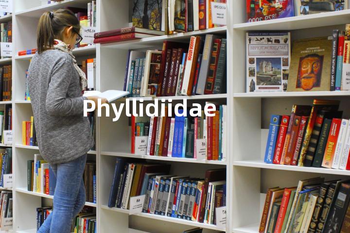 Phyllidiidae单词图解，单词释义场景配图